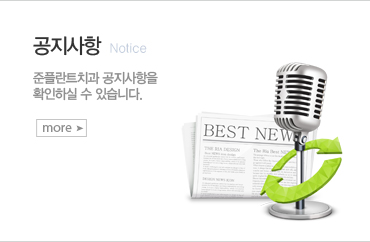 �������� �ȳ�