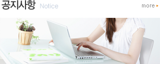 �������� �ȳ�